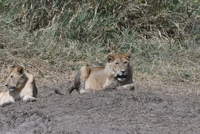 DSC_3658 (Large).JPG